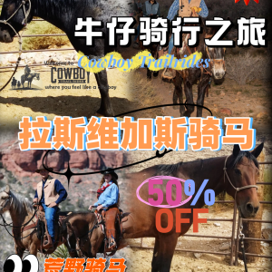 50% OFF 🌄 Las Vegas Horse Riding Guide | Limited Time Half-Price Trip